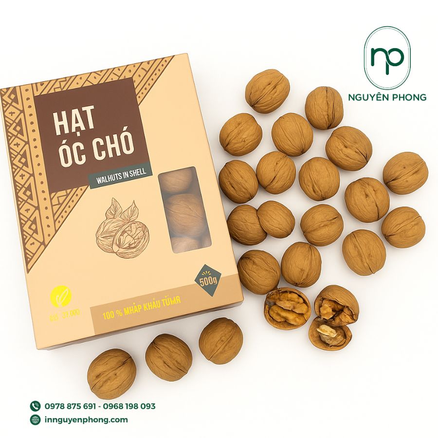 in-hop-giay-dung-oc-cho-gia-re-tai-ha-noi
